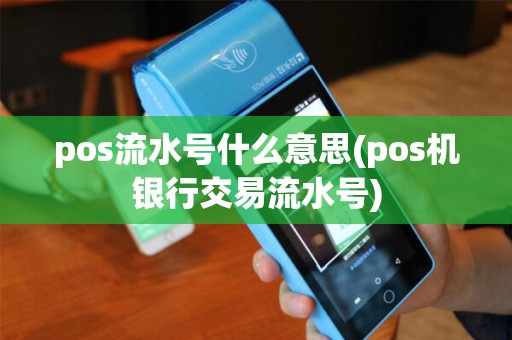 pos流水号什么意思(pos机银行交易流水号)