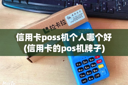 信用卡poss机个人哪个好(信用卡的pos机牌子) 信用卡poss机个人哪个好(信用卡的pos机牌子)