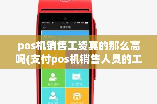 pos机销售工资真的那么高吗(支付pos机销售人员的工资) pos机销售工资真的那么高吗(支付pos机销售人员的工资)