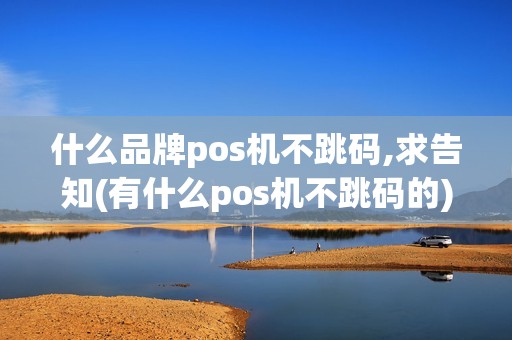 什么品牌pos机不跳码,求告知(有什么pos机不跳码的)