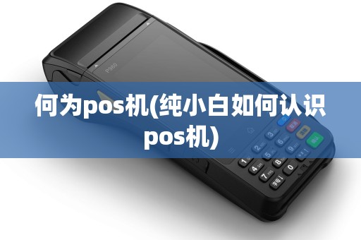 何为pos机(纯小白如何认识pos机) 何为pos机(纯小白如何认识pos机)