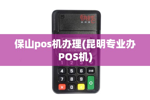 保山pos机办理(昆明专业办POS机) 保山pos机办理(昆明专业办POS机)