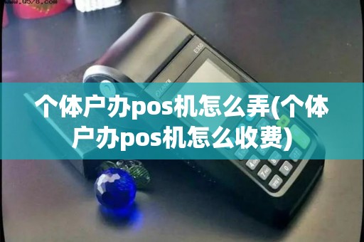 个体户办pos机怎么弄(个体户办pos机怎么收费)