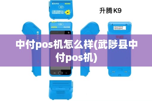 中付pos机怎么样(武陟县中付pos机)