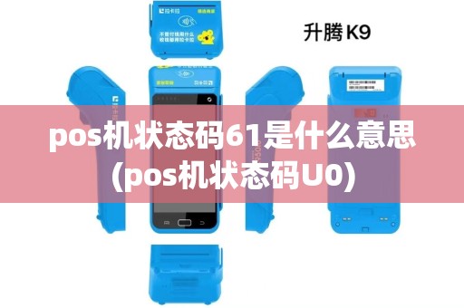 pos机状态码61是什么意思(pos机状态码U0)