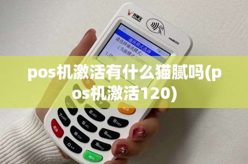 pos机激活有什么猫腻吗(pos机激活120)