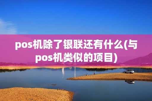 pos机除了银联还有什么(与pos机类似的项目) pos机除了银联还有什么(与pos机类似的项目)