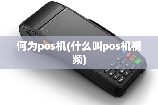 何为pos机(什么叫pos机视频)