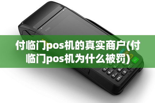 付临门pos机的真实商户(付临门pos机为什么被罚)