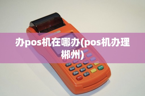 办pos机在哪办(pos机办理郴州) 办pos机在哪办(pos机办理郴州)