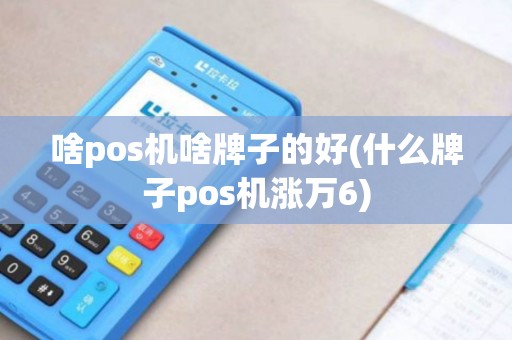 啥pos机啥牌子的好(什么牌子pos机涨万6) 啥pos机啥牌子的好(什么牌子pos机涨万6)