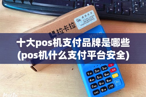十大pos机支付品牌是哪些(pos机什么支付平台安全) 十大pos机支付品牌是哪些(pos机什么支付平台安全)