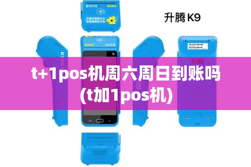 t+1pos机周六周日到账吗(t加1pos机) t+1pos机周六周日到账吗(t加1pos机)