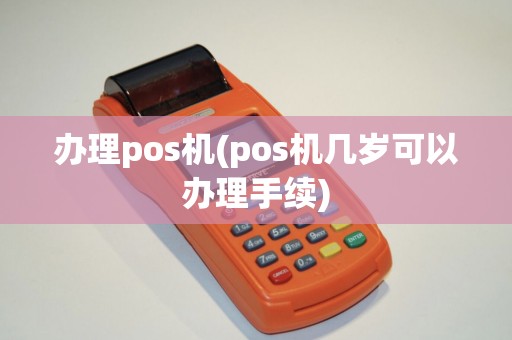 办理pos机(pos机几岁可以办理手续)