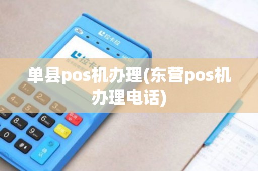 单县pos机办理(东营pos机办理电话) 单县pos机办理(东营pos机办理电话)