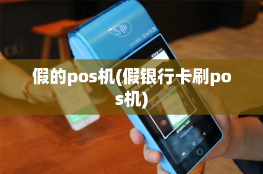 假的pos机(假银行卡刷pos机)