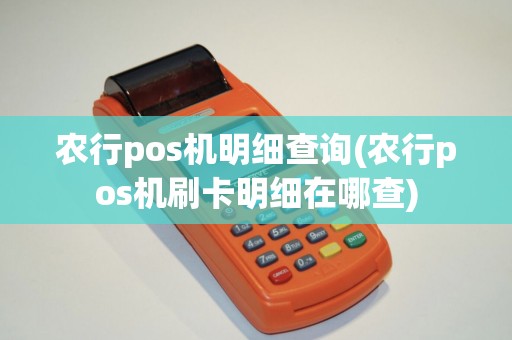 农行pos机明细查询(农行pos机刷卡明细在哪查) 农行pos机明细查询(农行pos机刷卡明细在哪查)