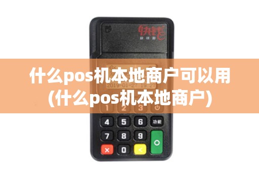什么pos机本地商户可以用(什么pos机本地商户) 什么pos机本地商户可以用(什么pos机本地商户)