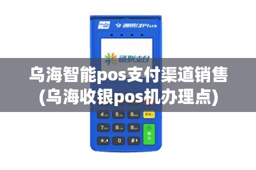 乌海智能pos支付渠道销售(乌海收银pos机办理点)