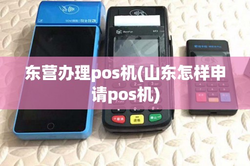 东营办理pos机(山东怎样申请pos机) 东营办理pos机(山东怎样申请pos机)