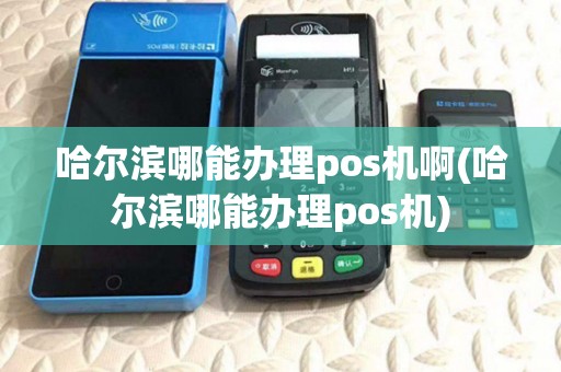 哈尔滨哪能办理pos机啊(哈尔滨哪能办理pos机)