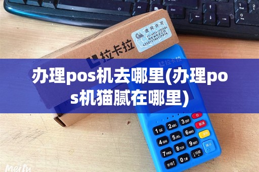 办理pos机去哪里(办理pos机猫腻在哪里) 办理pos机去哪里(办理pos机猫腻在哪里)