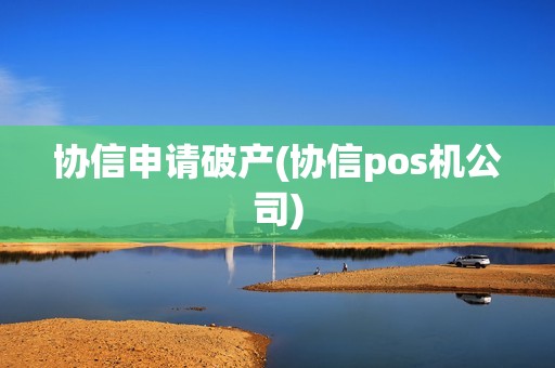 协信申请破产(协信pos机公司) 协信申请破产(协信pos机公司)