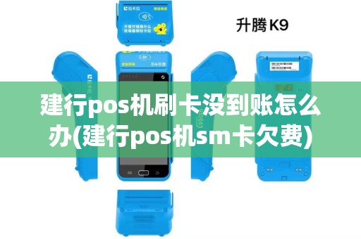 建行pos机刷卡没到账怎么办(建行pos机sm卡欠费) 建行pos机刷卡没到账怎么办(建行pos机sm卡欠费)