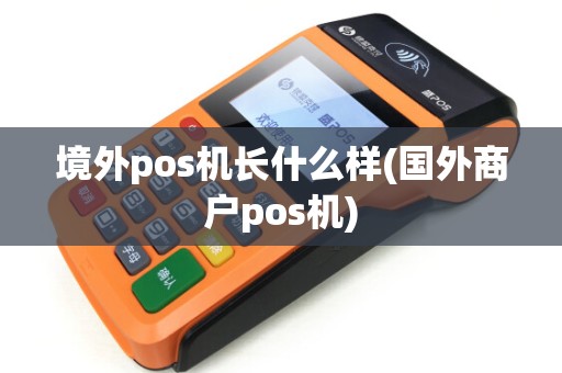 境外pos机长什么样(国外商户pos机) 境外pos机长什么样(国外商户pos机)