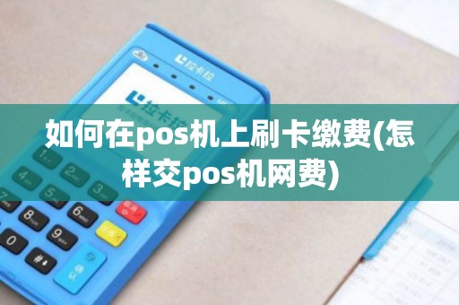 如何在pos机上刷卡缴费(怎样交pos机网费) 如何在pos机上刷卡缴费(怎样交pos机网费)