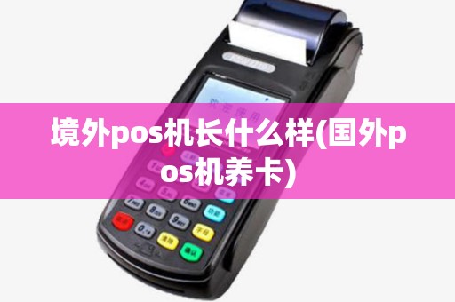 境外pos机长什么样(国外pos机养卡) 境外pos机长什么样(国外pos机养卡)
