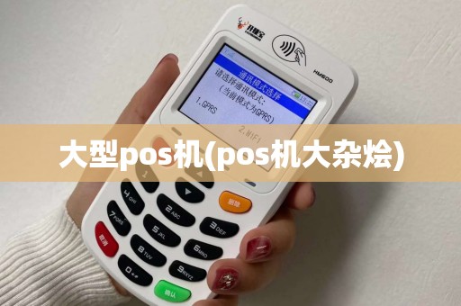 大型pos机(pos机大杂烩) 大型pos机(pos机大杂烩)