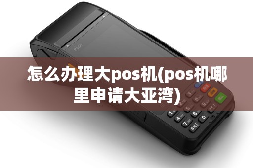 怎么办理大pos机(pos机哪里申请大亚湾) 怎么办理大pos机(pos机哪里申请大亚湾)