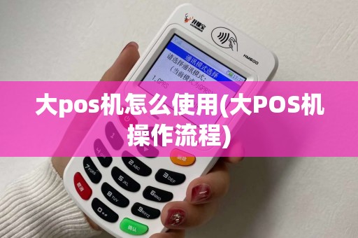 大pos机怎么使用(大POS机操作流程)
