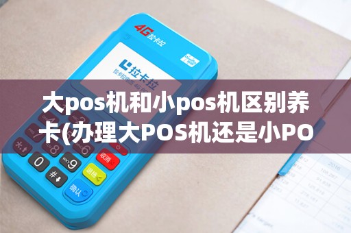大pos机和小pos机区别养卡(办理大POS机还是小POS机好) 大pos机和小pos机区别养卡(办理大POS机还是小POS机好)
