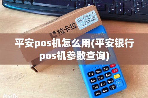 平安pos机怎么用(平安银行pos机参数查询) 平安pos机怎么用(平安银行pos机参数查询)