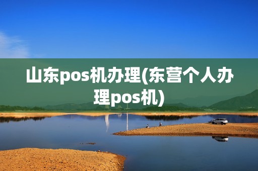 山东pos机办理(东营个人办理pos机) 山东pos机办理(东营个人办理pos机)