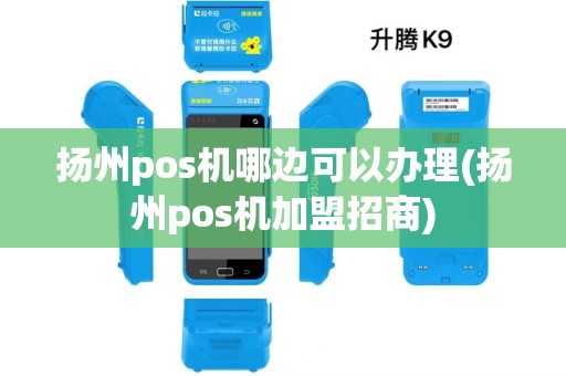 扬州pos机哪边可以办理(扬州pos机加盟招商) 扬州pos机哪边可以办理(扬州pos机加盟招商)