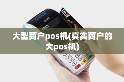 大型商户pos机(真实商户的大pos机)