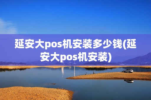 延安大pos机安装多少钱(延安大pos机安装)