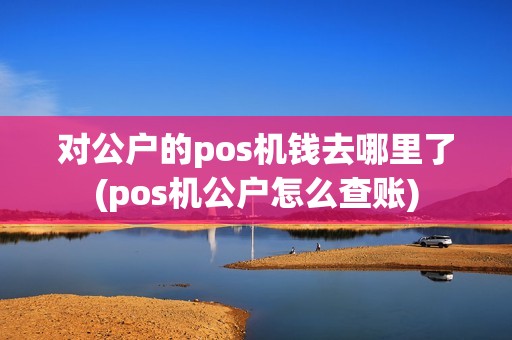 对公户的pos机钱去哪里了(pos机公户怎么查账)