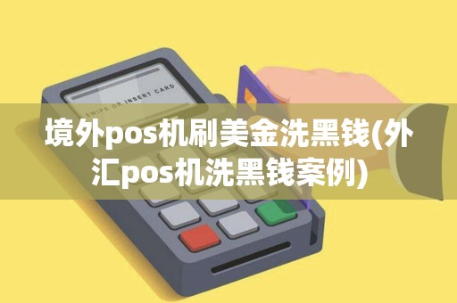 境外pos机刷美金洗黑钱(外汇pos机洗黑钱案例)