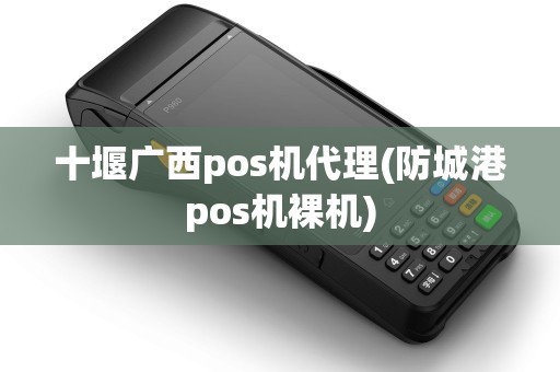 十堰广西pos机代理(防城港pos机裸机) 十堰广西pos机代理(防城港pos机裸机)