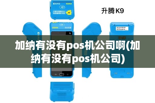 加纳有没有pos机公司啊(加纳有没有pos机公司) 加纳有没有pos机公司啊(加纳有没有pos机公司)