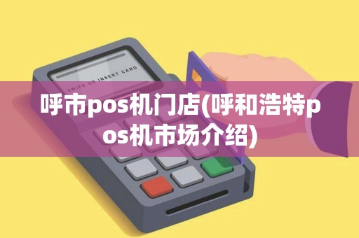 呼市pos机门店(呼和浩特pos机市场介绍)