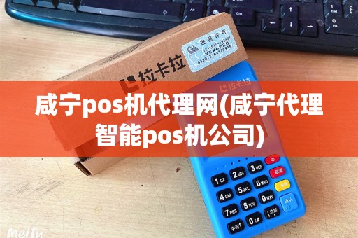 咸宁pos机代理网(咸宁代理智能pos机公司) 咸宁pos机代理网(咸宁代理智能pos机公司)