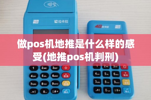 做pos机地推是什么样的感受(地推pos机判刑) 做pos机地推是什么样的感受(地推pos机判刑)