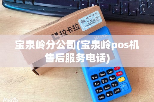 宝泉岭分公司(宝泉岭pos机售后服务电话)