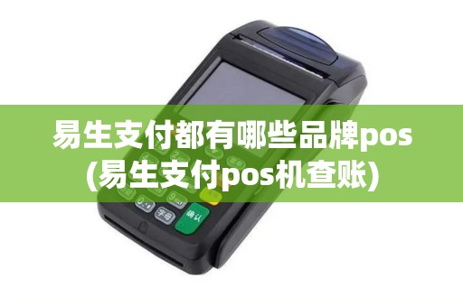 易生支付都有哪些品牌pos(易生支付pos机查账)