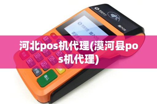 河北pos机代理(漠河县pos机代理) 河北pos机代理(漠河县pos机代理)